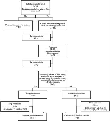 The development of a physical therapy service to treat urinary incontinence: Results of a RE-AIM evaluation